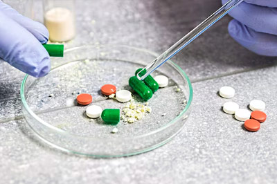 专注于为客户提供专业、高效、可持续的服务