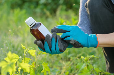 产品涉及医药、农药以及化学中间体等多个领域